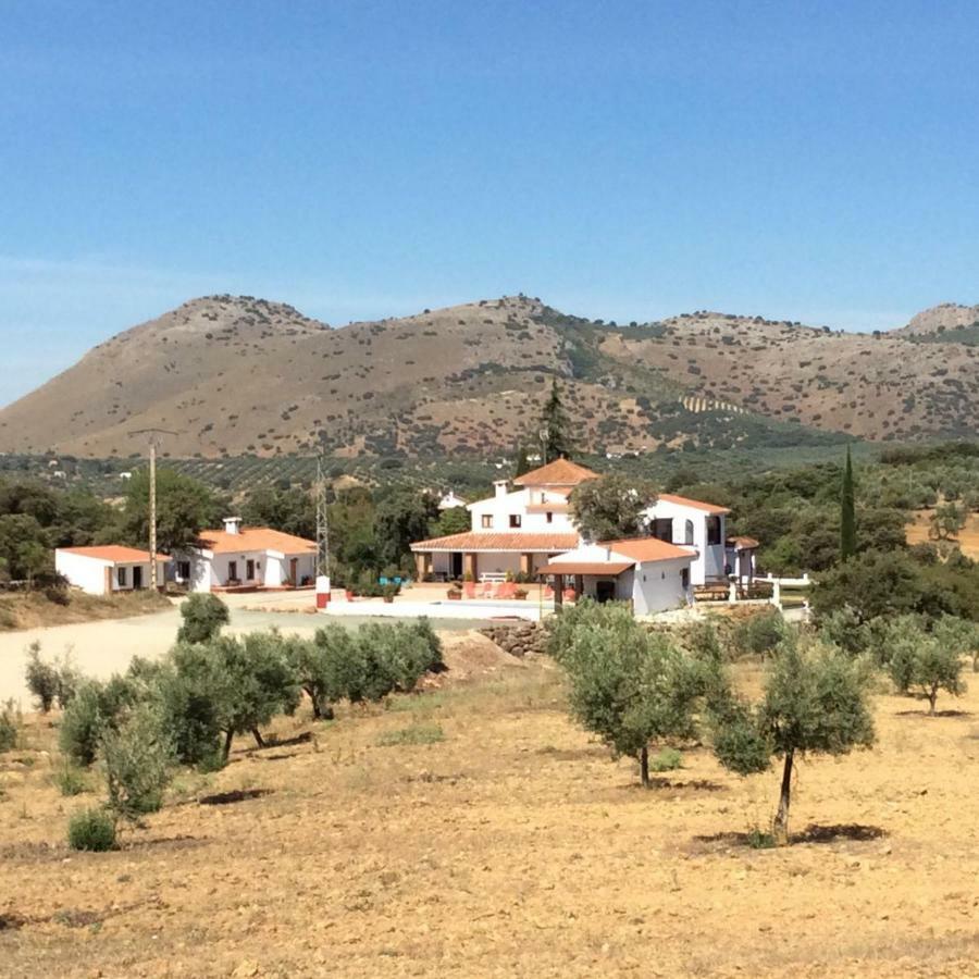 Pensjonat Santa Marta Complejo Rural Con Pista De Padel Archidona Zewnętrze zdjęcie