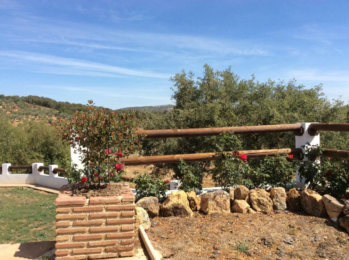 Pensjonat Santa Marta Complejo Rural Con Pista De Padel Archidona Zewnętrze zdjęcie