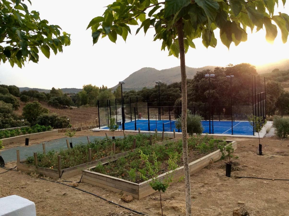 Pensjonat Santa Marta Complejo Rural Con Pista De Padel Archidona Zewnętrze zdjęcie